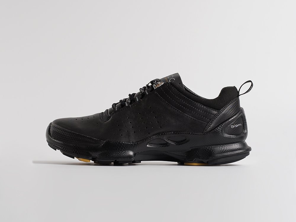ecco biom 31362 2